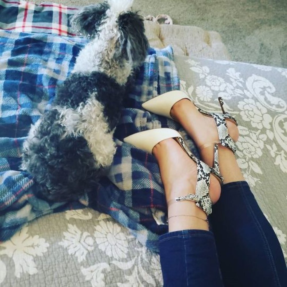 Jessica Simson Hadiya Animal Print Pumps